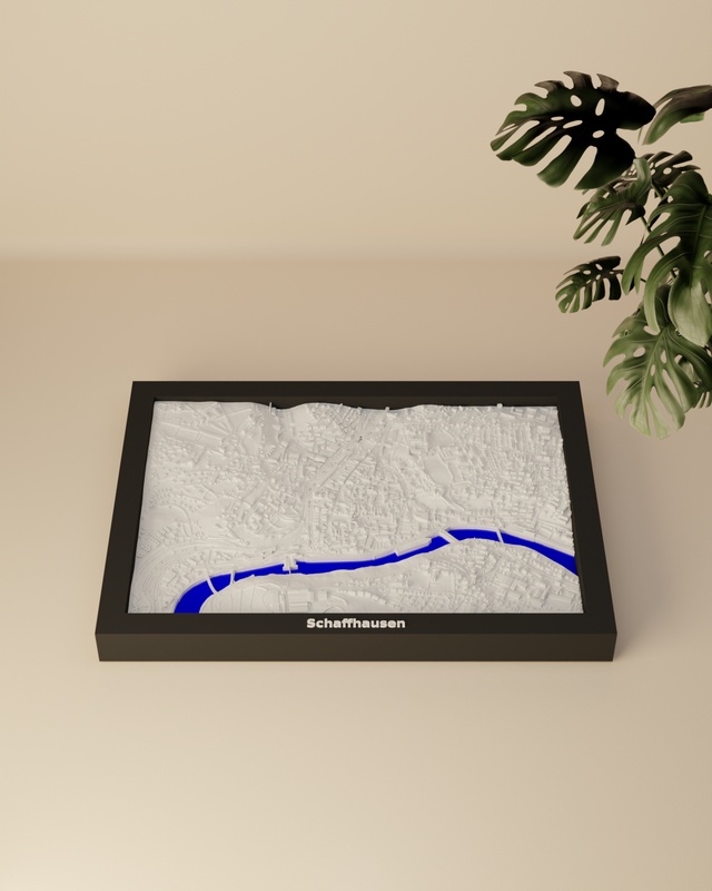 Schaffhausen render