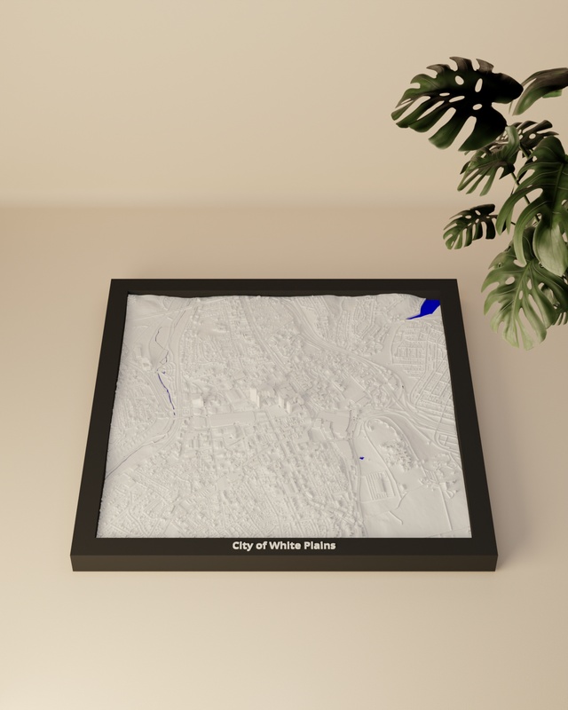 City of White Plains render