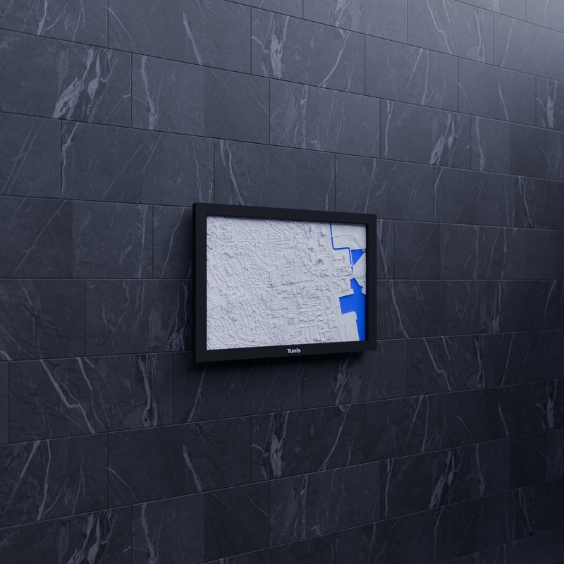 Tunis render
