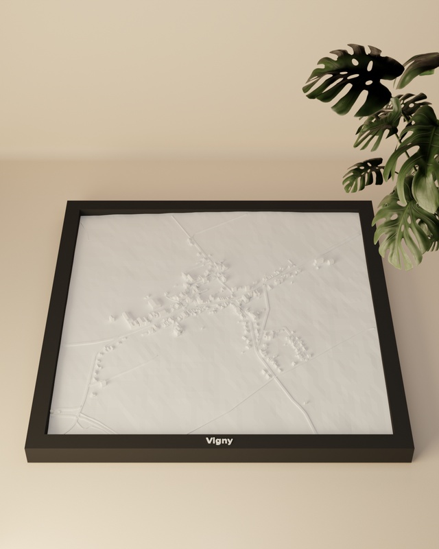 Vigny render