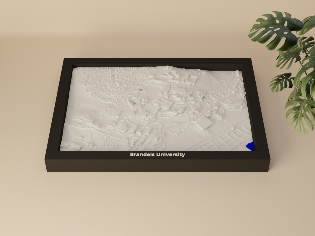 Brandeis University render