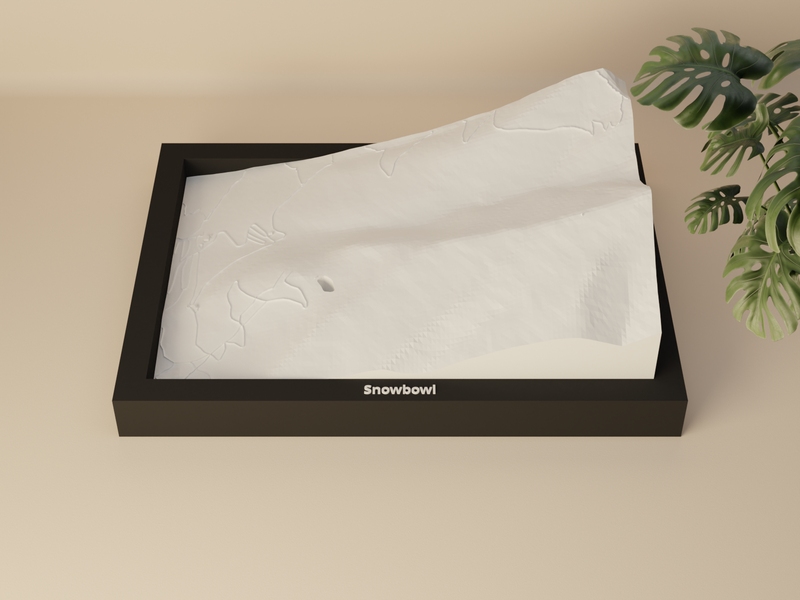 Snowbowl