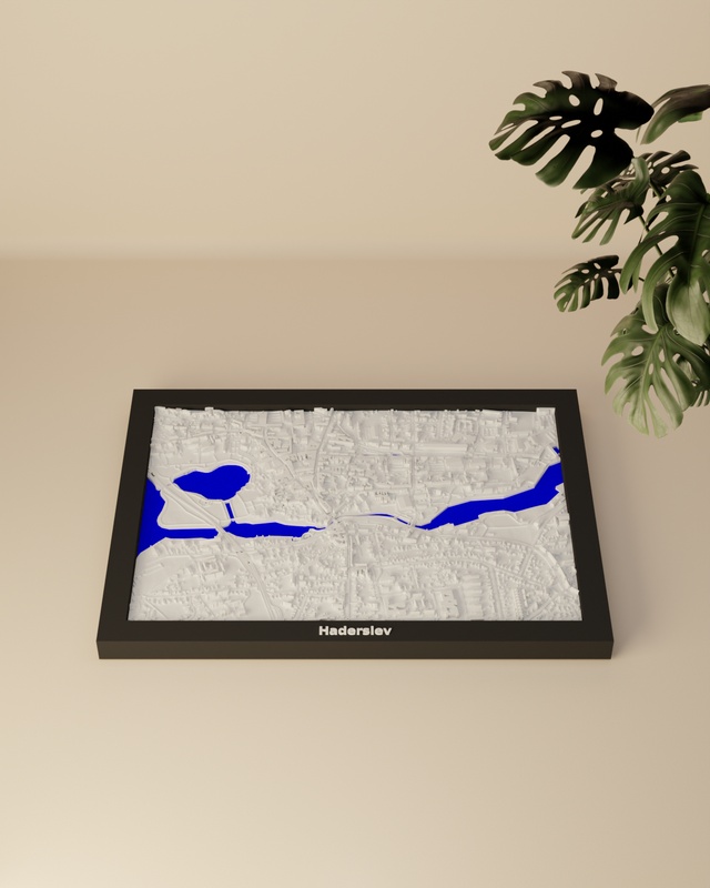 Haderslev render