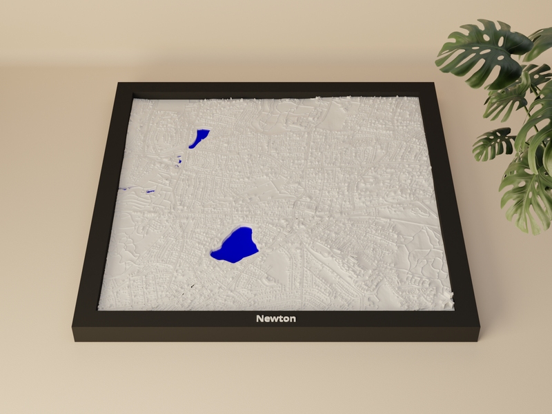 Newton