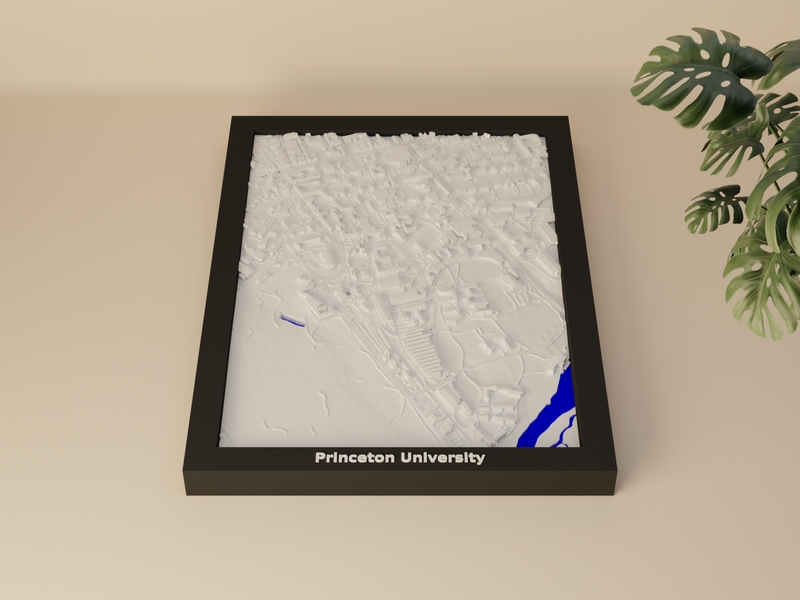 Princeton University