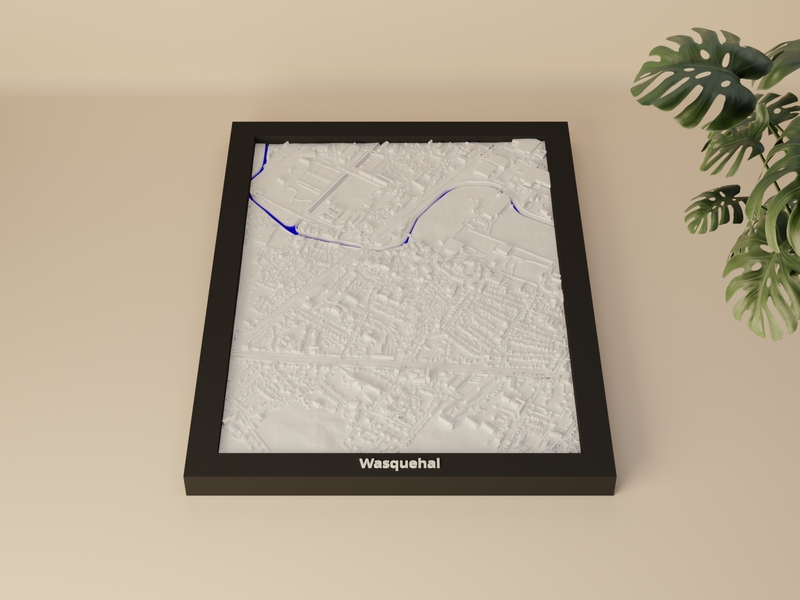 Wasquehal