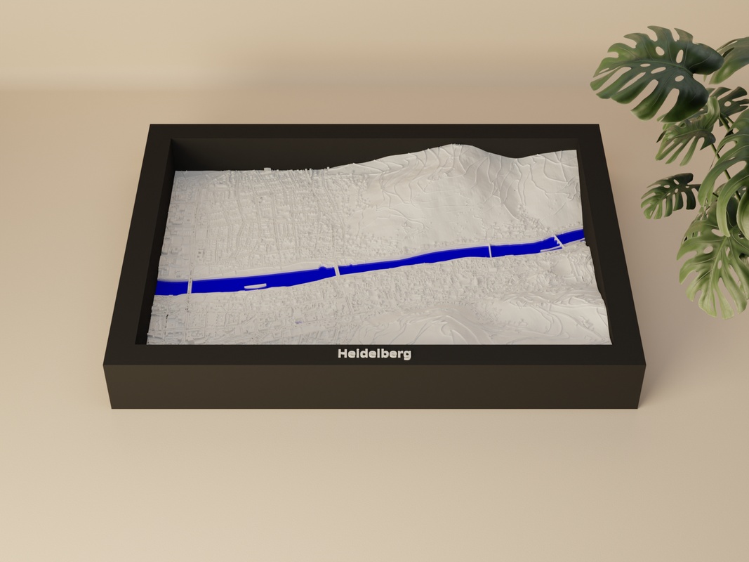 Heidelberg render