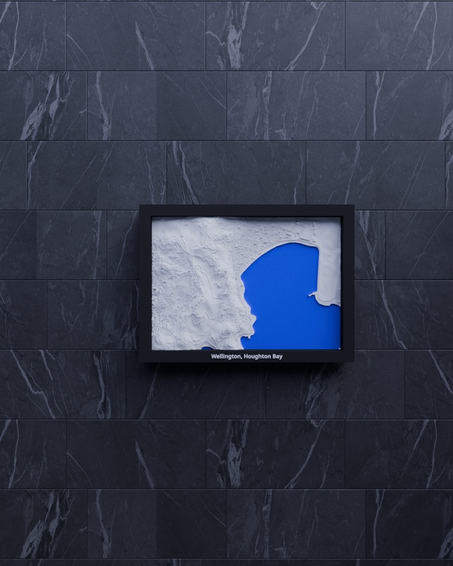 Wellington, Houghton Bay render