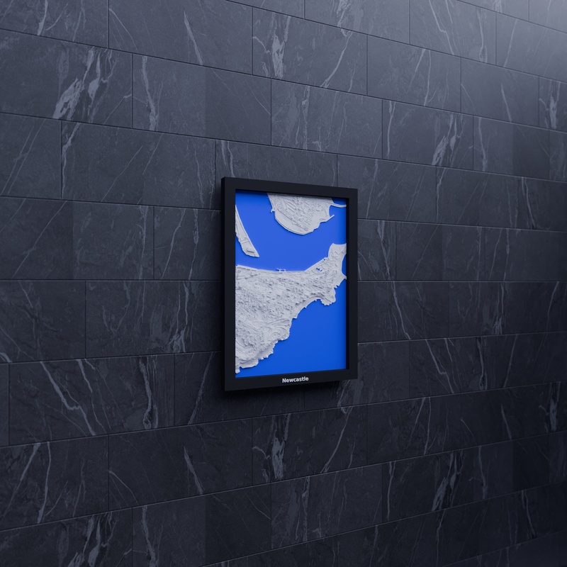 Newcastle render