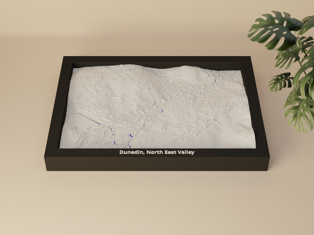 Dunedin, North East Valley render