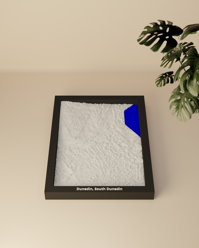 Dunedin, South Dunedin render