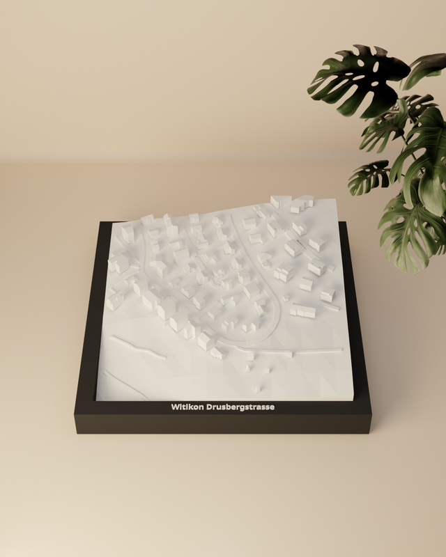 Witikon Drusbergstrasse render