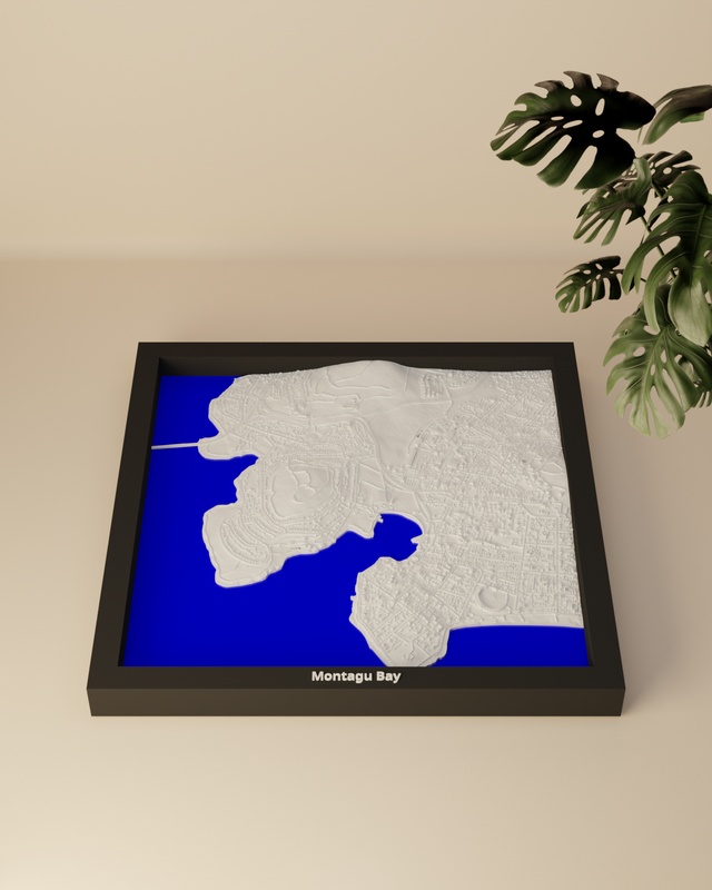 Montagu Bay render