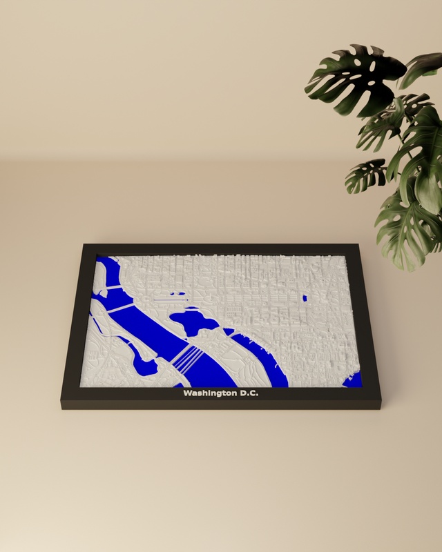 Washington D.C. render